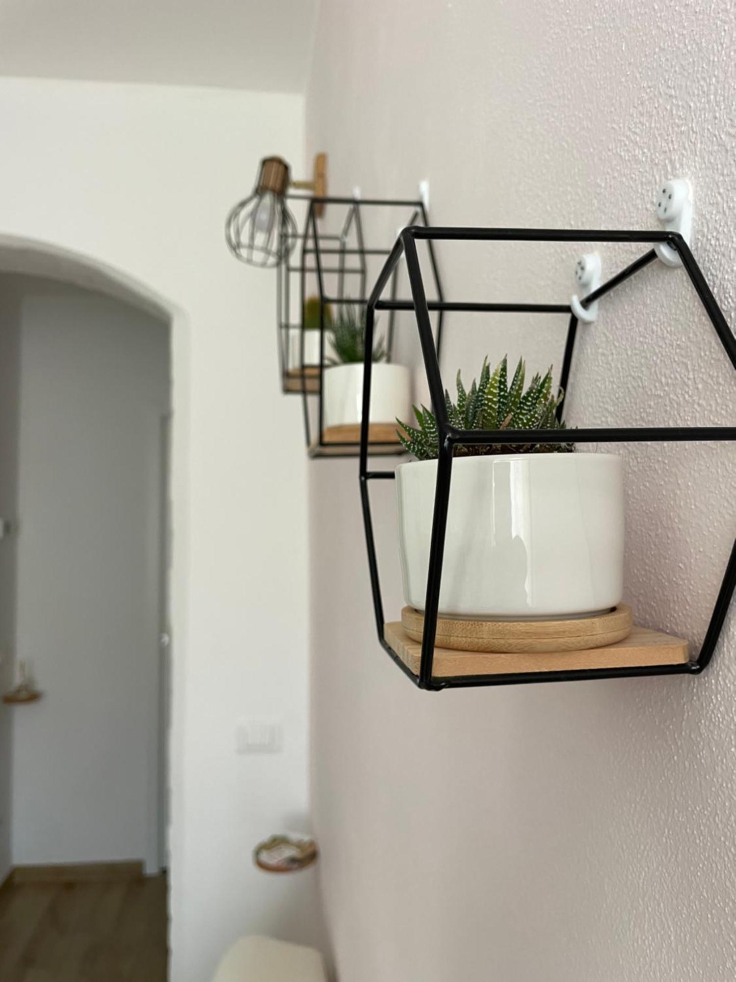 Cujo Apartment 斯培西亚 外观 照片